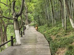 -天目湖山水园
