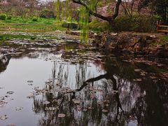 -无锡梅园公园