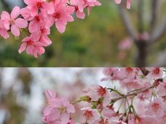 -福建鲤鱼洲酒店