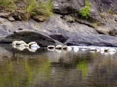 -九曲溪竹筏码头