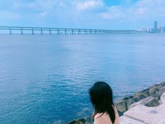 -星海湾跨海大桥