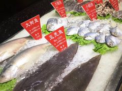 -宝燕壹号(徐汇店)