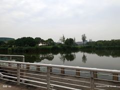 -新江湾城公园