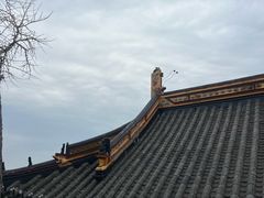 -狼山风景名胜区