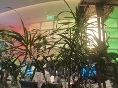 -桂满陇·蟹黄小笼汤包(清河万象店)