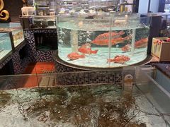 -尚海豆捞(乐虹坊店)