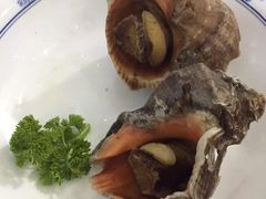 -东极岛海鲜