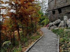 -云和湖仙宫景区