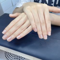 -七岛美学