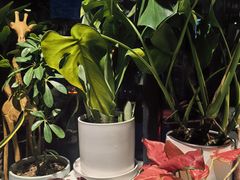 -懒人盐府人家(航天桥店)