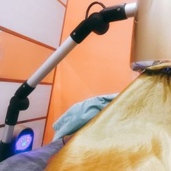 -归真美学颜究中心