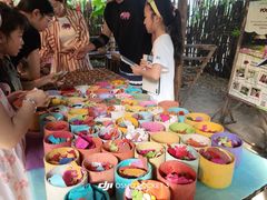 -大象粑粑造纸公园