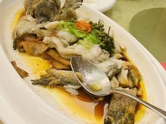 -绿岛国际酒店·海鲜酒楼(八七路店)