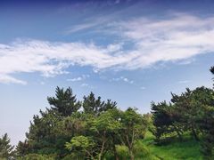 -北岭山森林公园