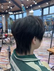 -IDOL-PLUS