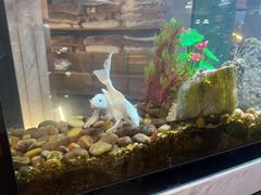 -水立方国际汤泉(六一中路店)