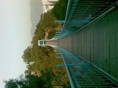 -金鸡山公园