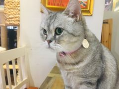 -小时光咖啡馆(开森度假森林店)