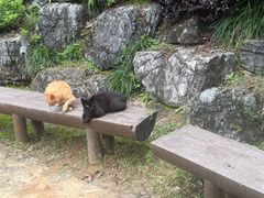 -南北湖风景区