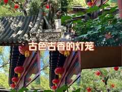 -白家大院·王府宫廷菜(苏州街店)
