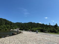 -五营红松林海景区