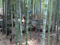 -众神白水涧景区