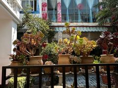 景观位-尼玛藏家风味园(阿山食城店)