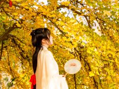 -千年银杏谷文化旅游区