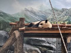 -武汉动物园