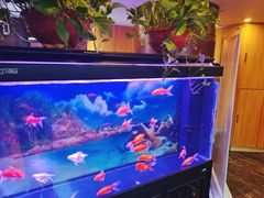 -东方足浴·洗浴SPA会所(长治路店)