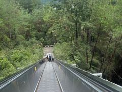-千岛湖天屿景区