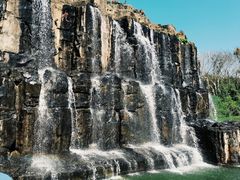 -海南热带野生动植物园