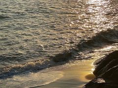 -溪岸路花鸟市场