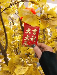 -蜜丝卡伦美甲美睫连锁