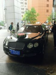 -蚂蚁婚车