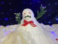 -宁波冰雪大世界(北仑区)