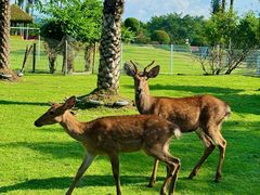 -东南花都花博园