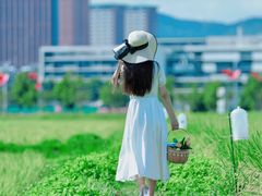 -光明小镇欢乐田园