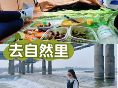 -绿堤公园