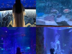 -沈阳海洋探索中心