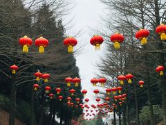 -四明山国家森林公园