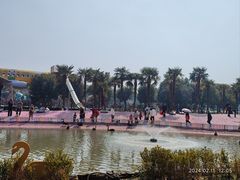 -苏州太湖西山岛开心农场