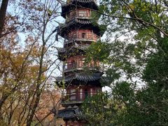 -上海佘山国家森林公园西佘山园