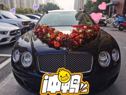 点击看大图 -蚂蚁婚车