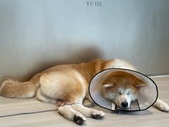 -YCHL Studios健身工作室(市二宫店)