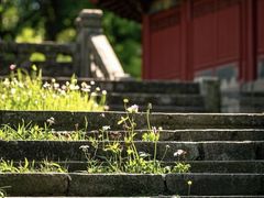 -开福禅寺