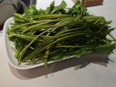 -爱膳菌锅锅(阳南店)