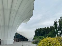 -东平国家森林公园