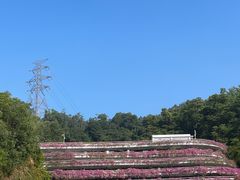 -深圳仙湖植物园