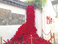 -青果巷历史文化街区